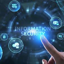 What is a Vulnerability Management Program in Information Security?